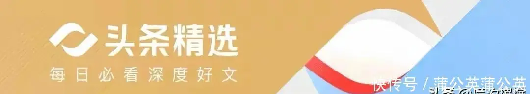 2025短剧演员生存实录：姜十七掉队，徐艺真转型制片人成赢家