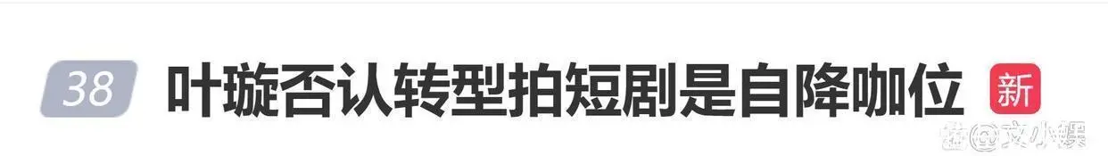 短剧资讯：叶璇演爆款短剧婆婆，降级争议真相全拆解