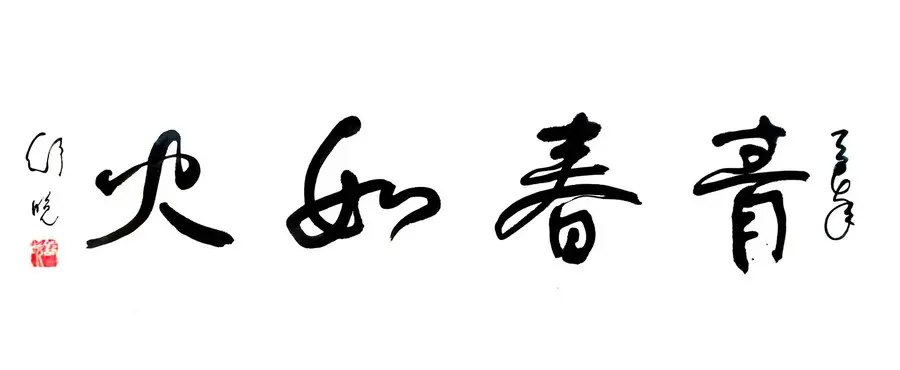 本月短剧资讯：《青春如火》隆重开机，红色爆款短剧剧情抢先看！