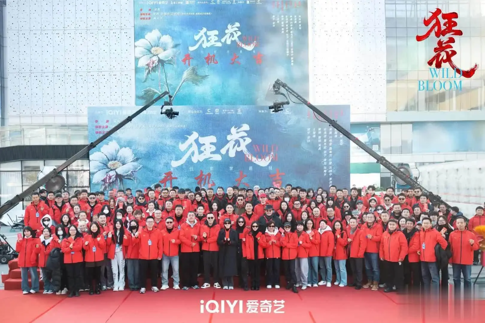 2026悬疑短剧推荐：《狂花》全员狠人，宋茜王珞丹上演致命博弈