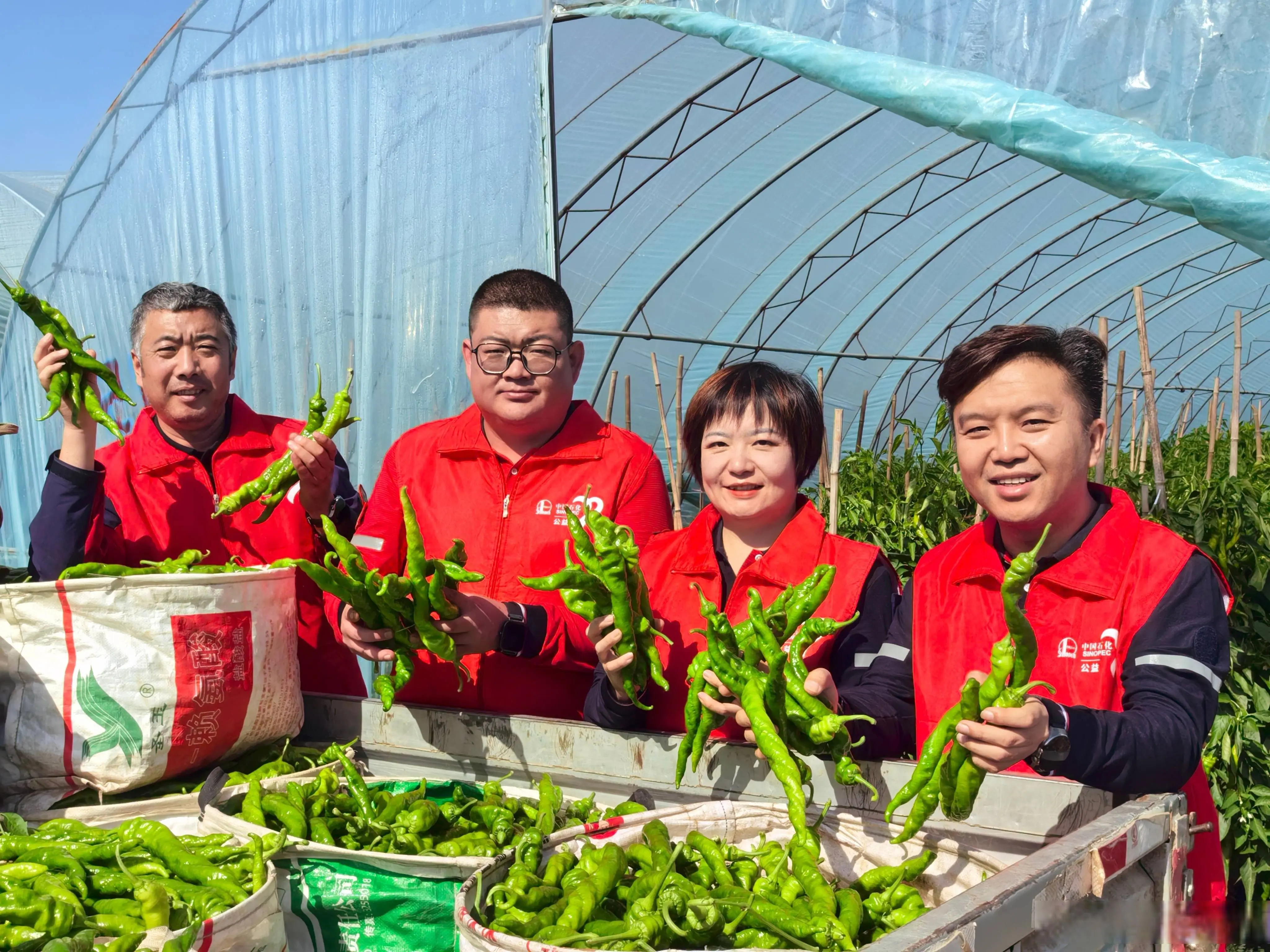 近期短剧演员动态：AI抢饭碗，戏骨种地生存全拆解